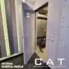 Puerta acústica de madera - Imagen 3